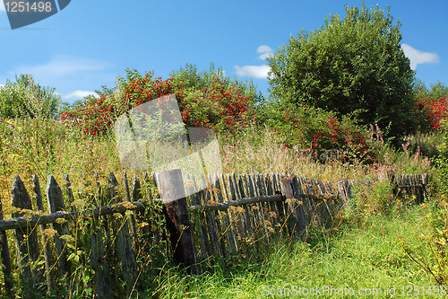 Image of Shabby fence in the Russian Village