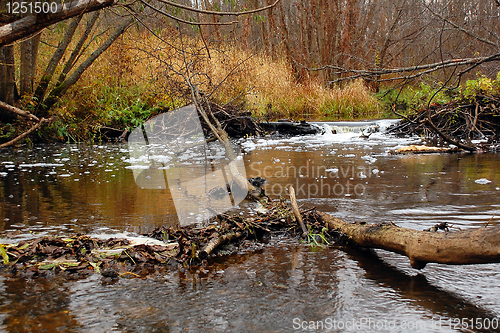 Image of River in Central Russia in the Fall