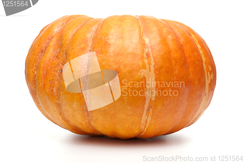 Image of Orange pumpkin