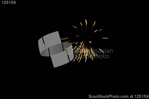 Image of Yellow firework 2