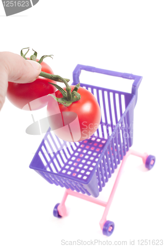 Image of Conceptual photo with miniature shopping-cart