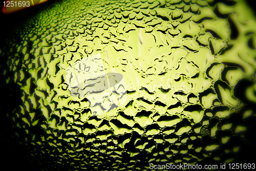 Image of Green drops of water - light from backside. Macro