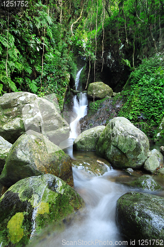Image of Waterfall making its way into a pond in the rainforest 