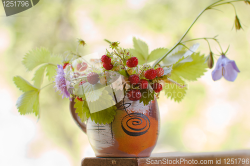 Image of  camomile and wild strawberry