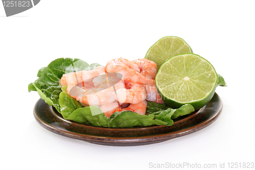 Image of Prawns