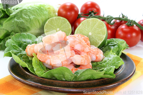 Image of Prawns