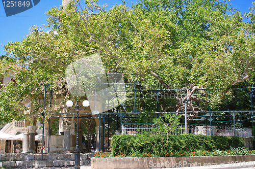 Image of Greece. Kos island. The Plane tree of Gippokrat