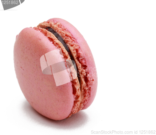 Image of Pink macaron