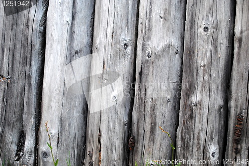 Image of Norwegian Wood