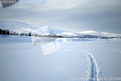 Image of Winter