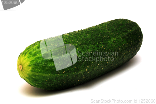Image of Foto of green cucumber on white background