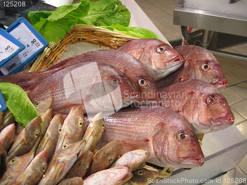 Image of Fish at market