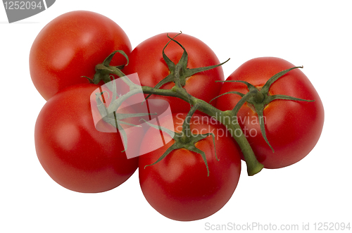 Image of ripe tomatoes 