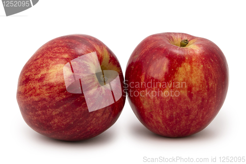 Image of two red striped apple