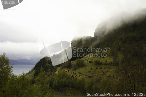 Image of Hardanger