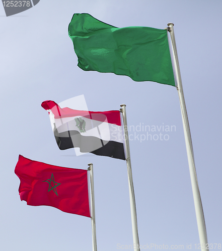 Image of African Arab states flags