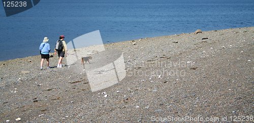 Image of Beach Stroll