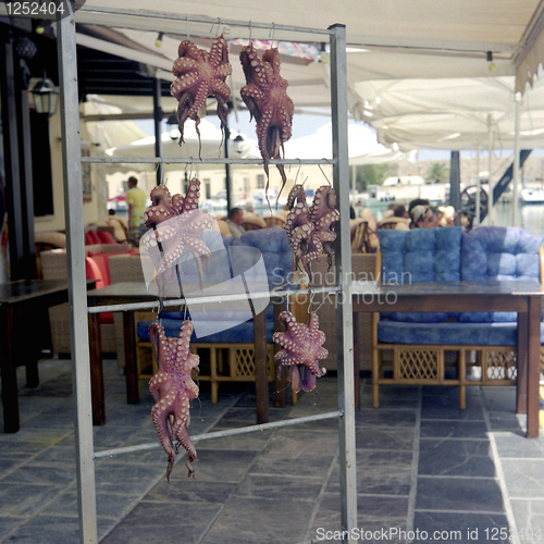 Image of Octopuses drying in Crete