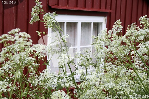 Image of window