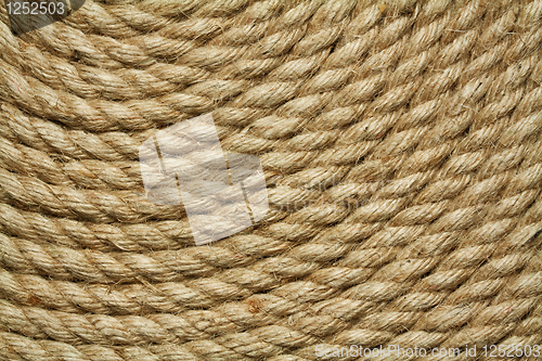 Image of Old rope