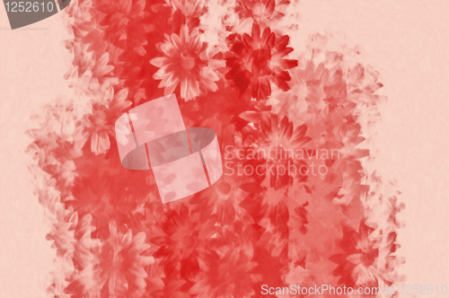 Image of daisies floral pattern