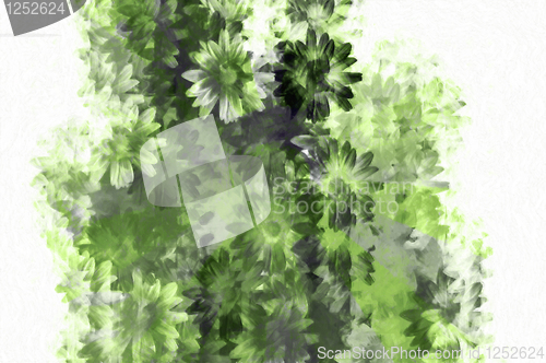 Image of floral pattern