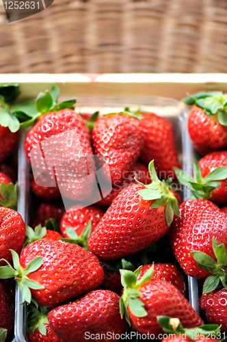 Image of fresh strawberries