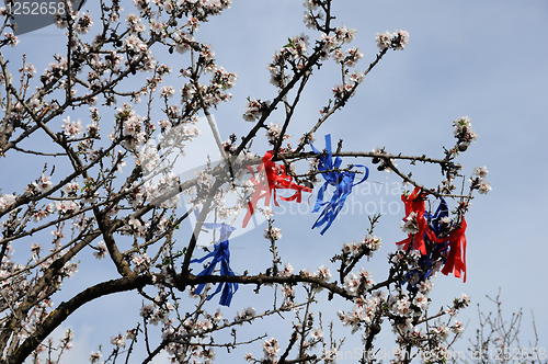 Image of tangled kite