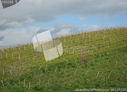 Image of Sicilian farmland