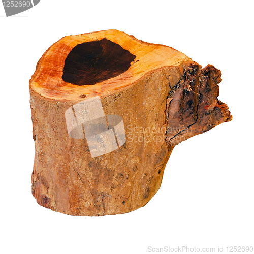 Image of Stump isolated