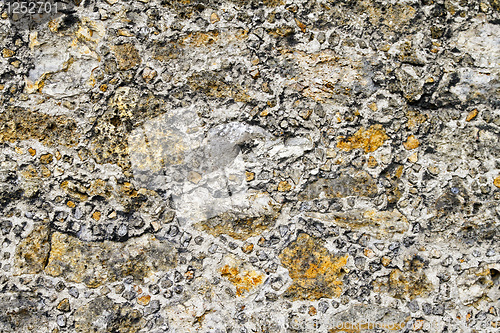 Image of Wall texture
