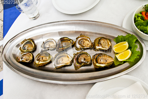 Image of Oysters plate