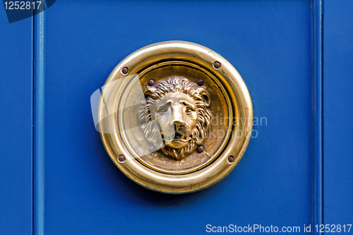 Image of Gold lion