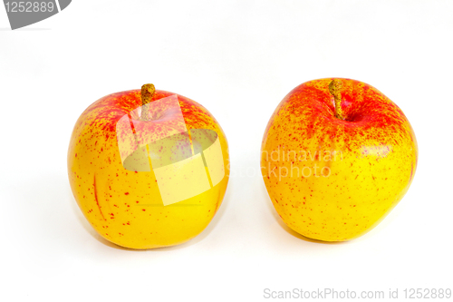 Image of Yellow apples