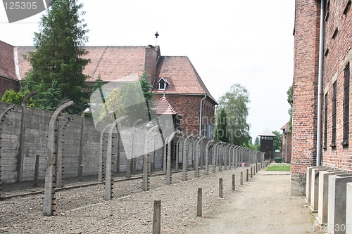 Image of Auschwitz fence