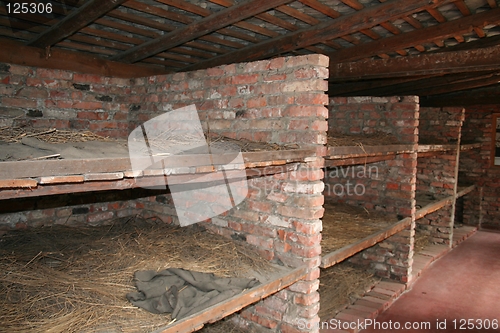 Image of Auschwitz beds