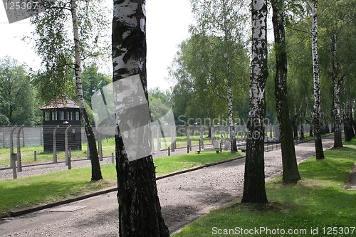 Image of Auschwitz fence
