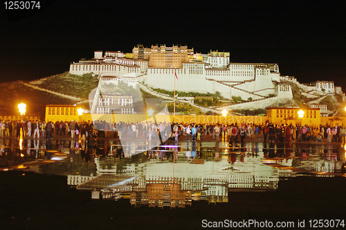 Image of Night scenes of the Potala Palace