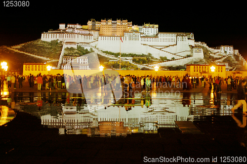 Image of Night scenes of the Potala Palace