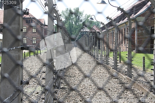Image of Auschwitz, fence