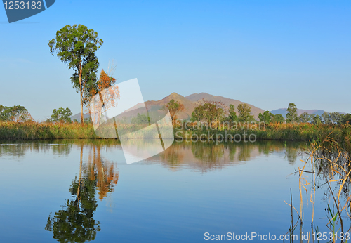 Image of lake with clear water and trees