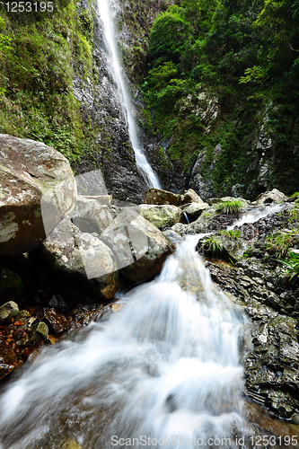 Image of waterfall in forest