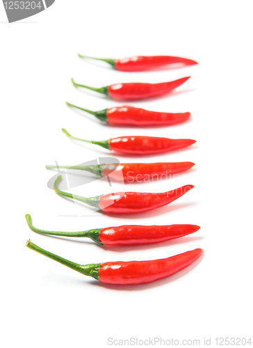Image of red pepper