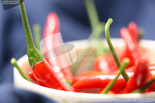 Image of red pepper in bowl