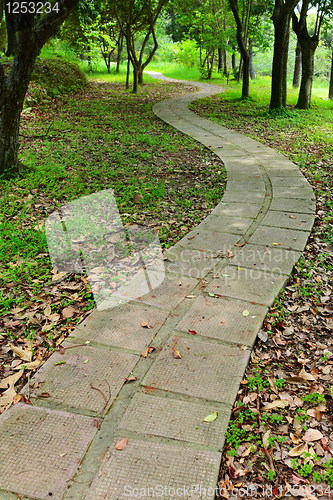 Image of path in country side