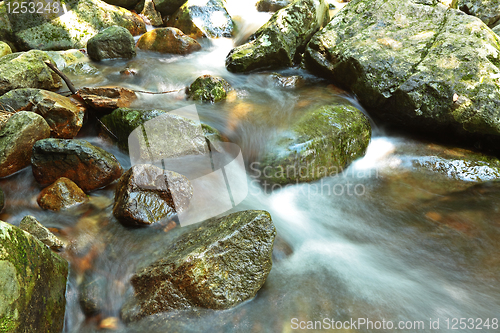 Image of water spring
