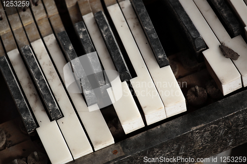 Image of Broken Old Piano Keys