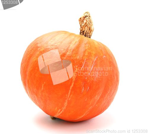 Image of pumpkin