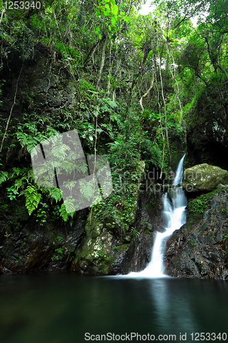 Image of beautiful waterfall