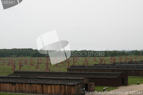 Image of Birkenau ruins